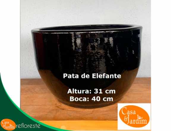 Vaso Pata de Elefante