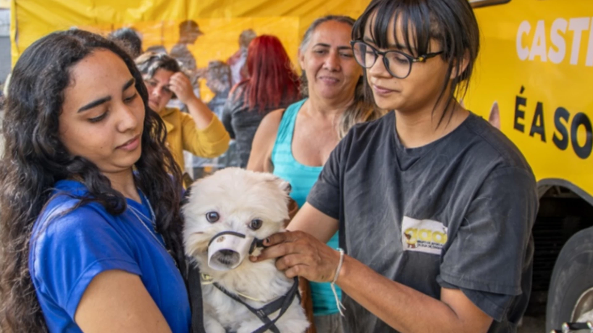 16ª edição do Programa Seu Amigo Pet